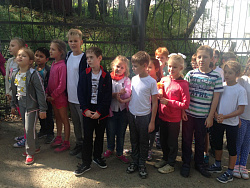 НЕДЕЛЯ ЗДОРОВЬЯ